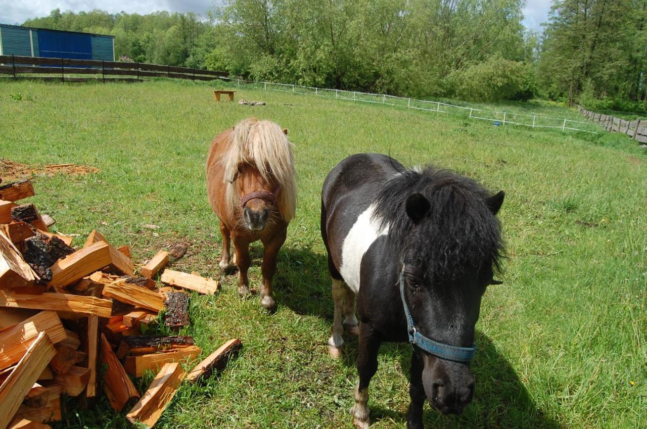 Biebrzanska Zagroda Stare Dolistowo Exteriör bild