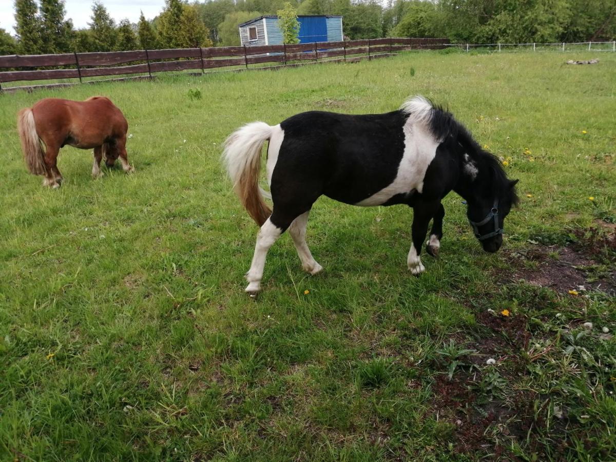 Biebrzanska Zagroda Stare Dolistowo Exteriör bild